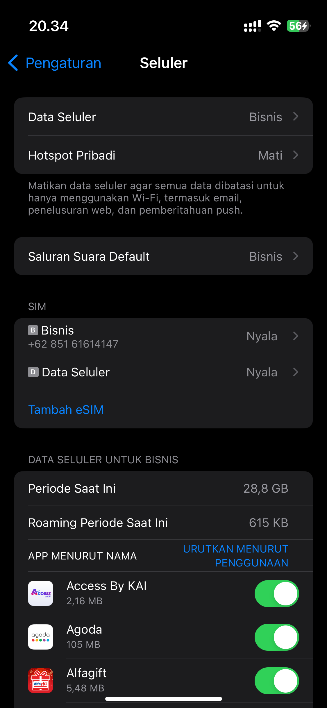 Roaming Options
