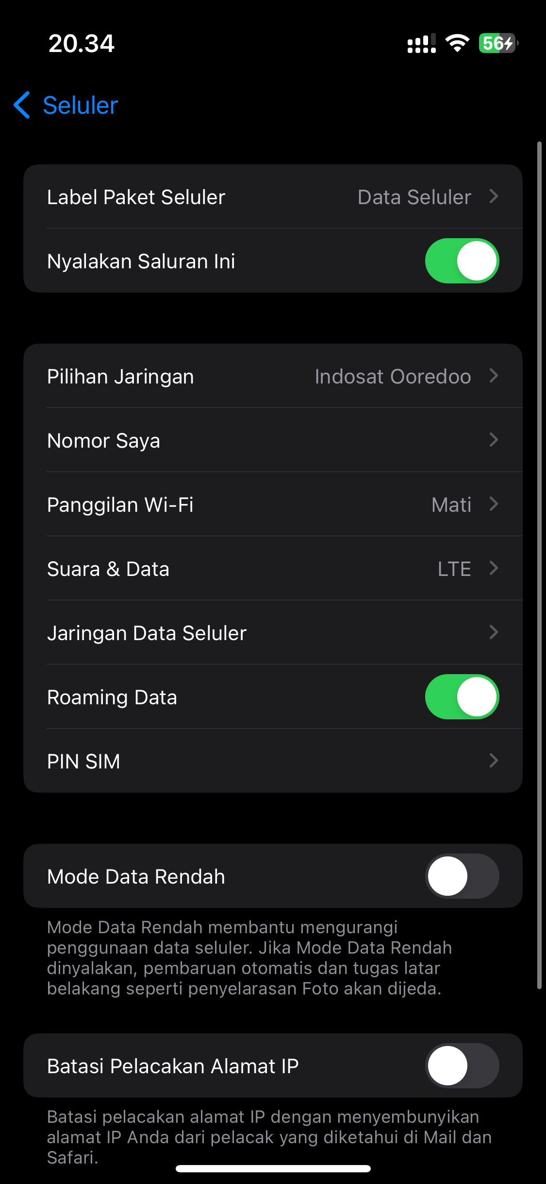 Enable Data Roaming